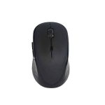 ماوس بیاند beyond 1355RF